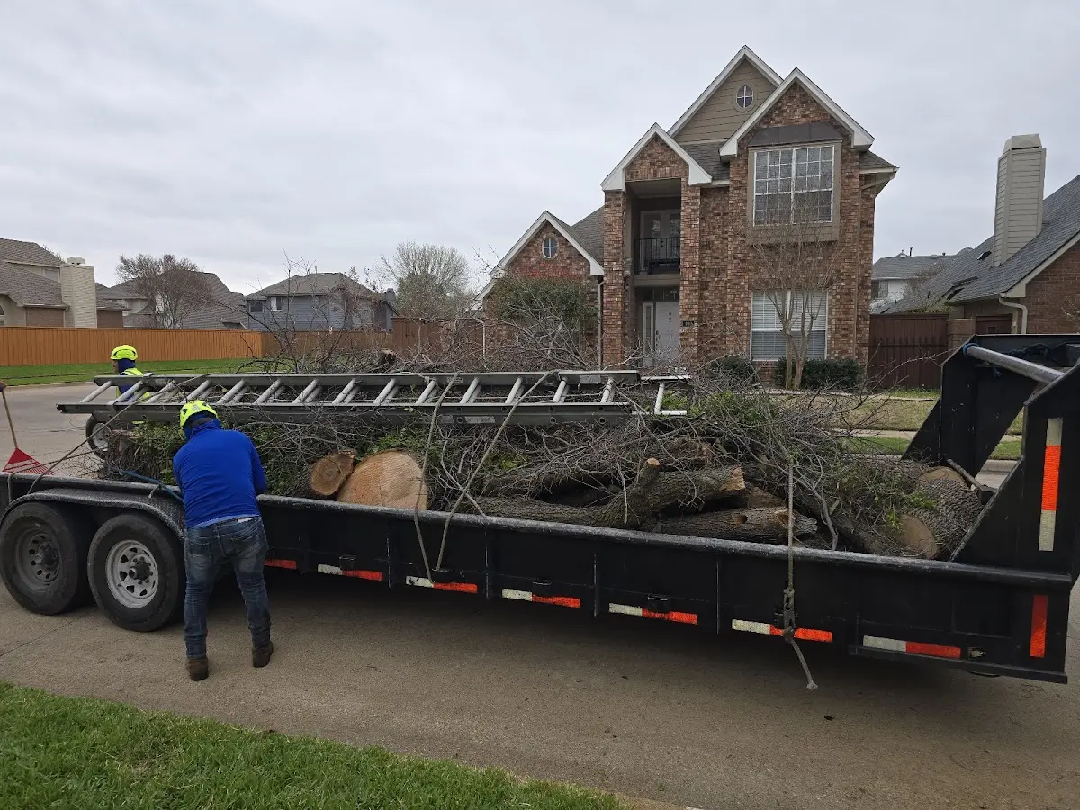 Expert Tree Fertilization with proper safety equipment in Madelia